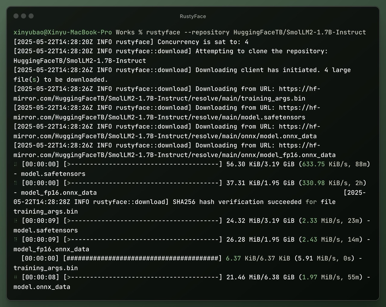 RustyFace: HuggingFace Downloader Supporting Resumable and Parallel Downloads